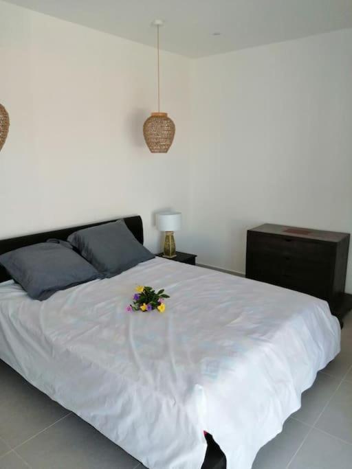 Residence Canne Mapou 2 1 Chambre Saint Pierre Buitenkant foto